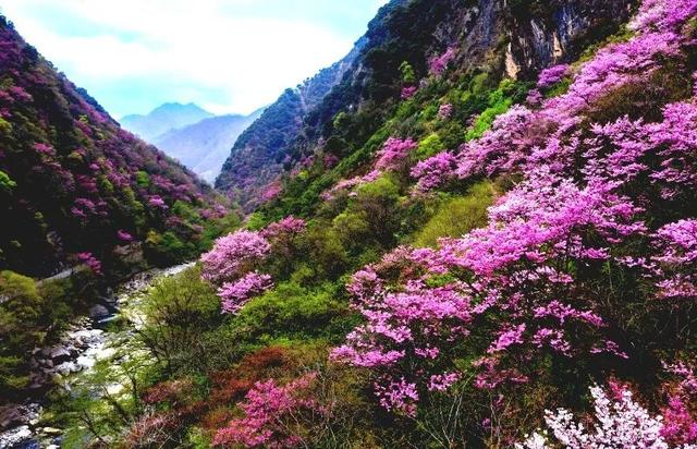 广元不远 周末优选｜不如见一面，顺便玩一圈！清明假期带你玩转唐家河