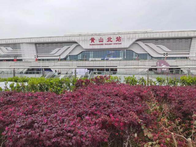 漫步黄山松掩山丛树杪，云隐仙踪徒步蹬道千阶