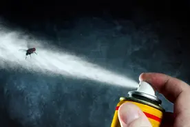 为什么杀虫剂一喷，蚊子苍蝇瞬间就往下掉，其他动物却没事？图片