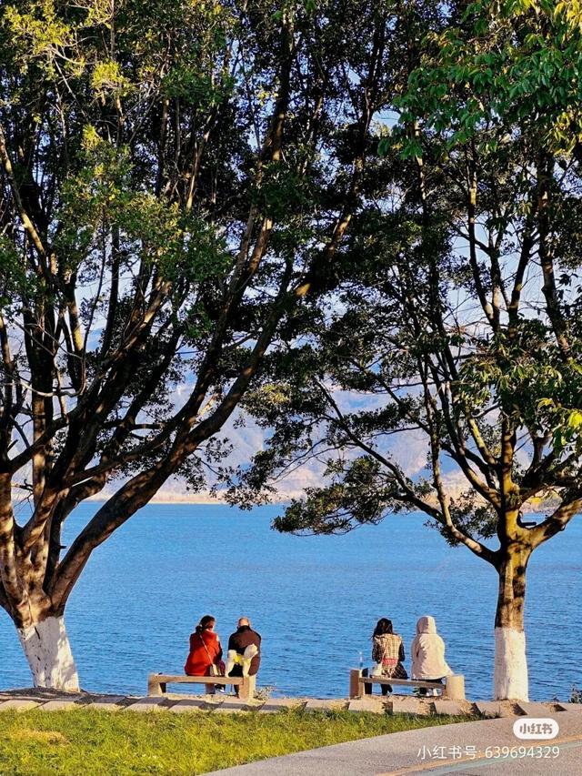 比大理浪漫！比昆明更近！高铁直达阳光小城，2万株蓝花楹美疯！观海登山，美食吃到爽！