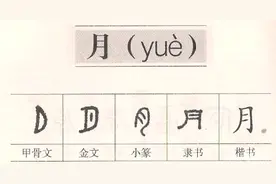 每日古文字‖甲骨文“月”字解读图片