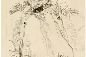 国画花鸟的绝密武器：花鸟白描法解析！图片