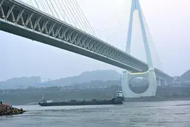 重庆胖猫事件：家属是否有权要求谭某返还五十一万元？图片