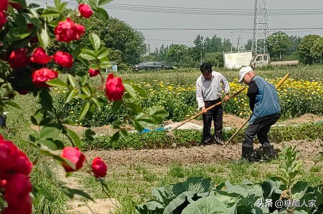 张明桥：一人一桥一善举，一个因桥得名、因水而兴的古村落