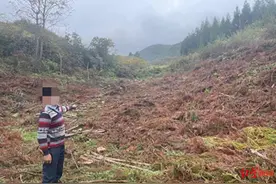 村民砍伐自家514株林木被刑拘！哪些林木农民可砍伐？警方解读图片