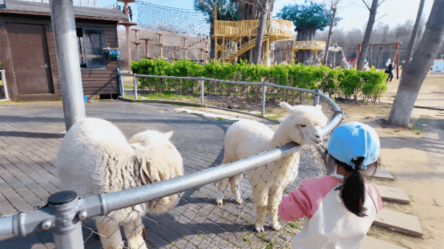 若你偏爱江南的温柔春色，就来常熟遇见美好