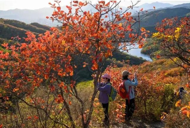 到海淀登高！期待日出、拥抱日落