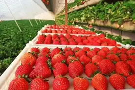 辽宁省16个县级市，各市的“城市名片”图片