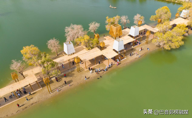 胡杨林的黄金时间来了，到巴州不只塔里木胡杨林公园，这些胡杨林，个个惊艳