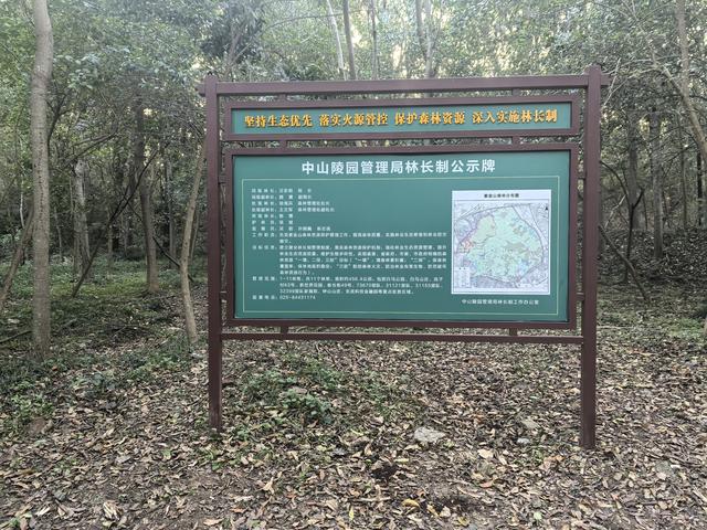 南京紫金山郊野徒步