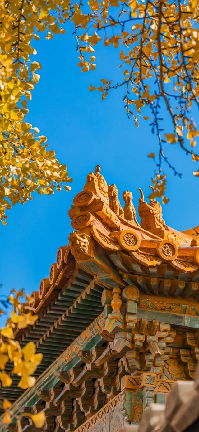 𝐒𝐡𝐚𝐫𝐞｜秋天绝美全屏壁纸30张
