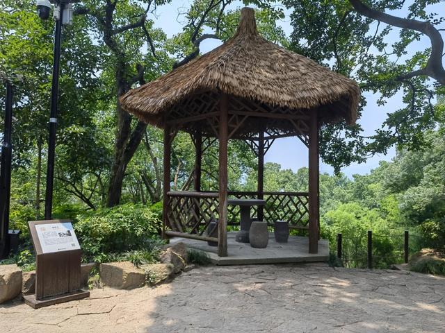 西泠镜像·印社胜迹 |苔痕印迹间 觅鸿雪文心