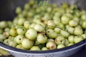 这种水果维生素C含量是橙子的近8倍，也被誉为“刮油神器”！图片