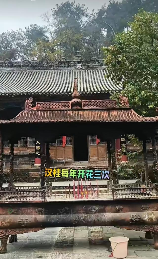 你知道，汉中又一处黄埔军校旧址吗？