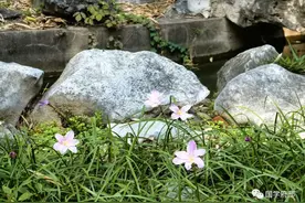 《管子》精华58句，光照千秋的经典名言，值得收藏！图片