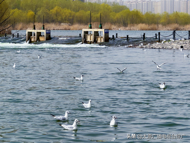 全国15座城市，太原入选！到底是为啥？