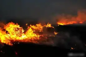 秸秆焚烧：看似方便，却隐藏了巨大的生态代价，这次专家说对了！图片