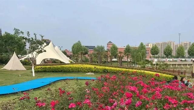 运城市中心藏了一片“海”!走,带你去看治愈系沙滩