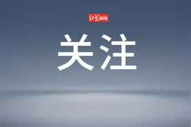 涉嫌严重违纪违法！重庆两名干部被查图片