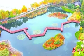 快看，调色板来了：赤橙黄绿青蓝紫图片