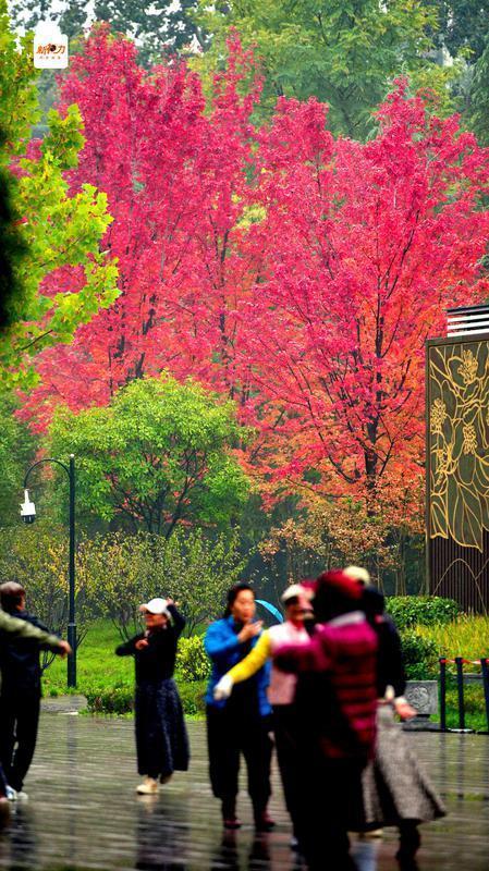 古城与秋叶的交响