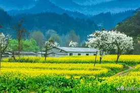 一个家族能延续多少代人！图片