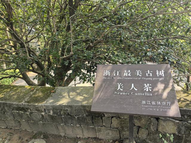 浙江湖州市德清县莫干山国家级风景名胜区游记（上）