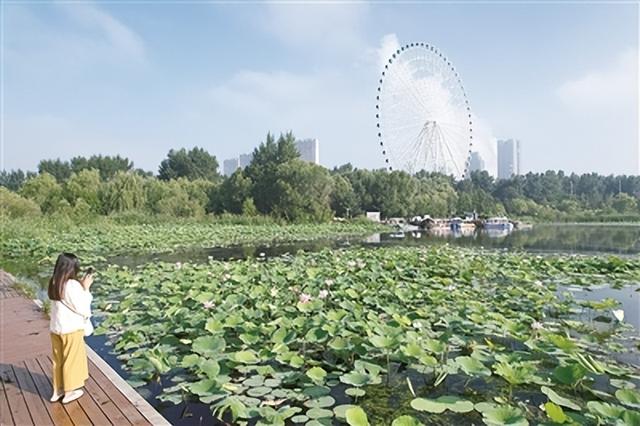 绿韵浸润英雄城 四平烟火绘新篇