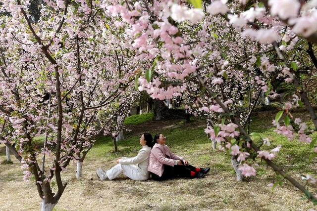 踏青赏花不负春光