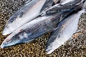 湛江遂溪北潭市场：天光墟，海鲜七点半就收档图片