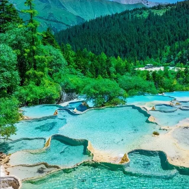 一泡尿“毁”了全家!男童尿进黄龙彩池，景区硬气通报:永久禁入