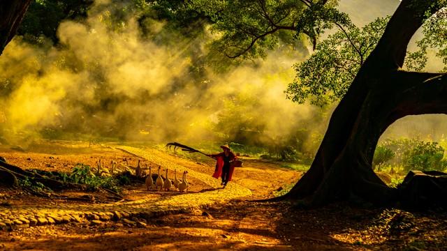 福建深秋封神路线！红叶燃山、银杏铺金，古寺藏着最暖秋韵！