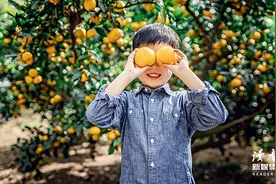 父母与子女翻脸变仇人，主要是因为这5件事，别后知后觉图片