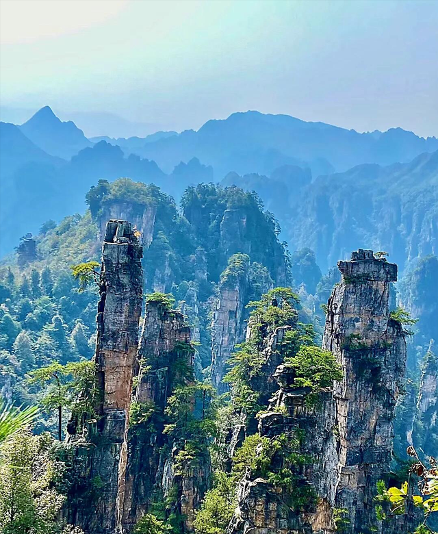 五月，推荐几个全国最适合出游的地方，收藏这一份就够了！