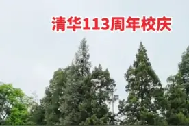 清华113周年庆典游园，看了别人评论区我内心很苦。图片