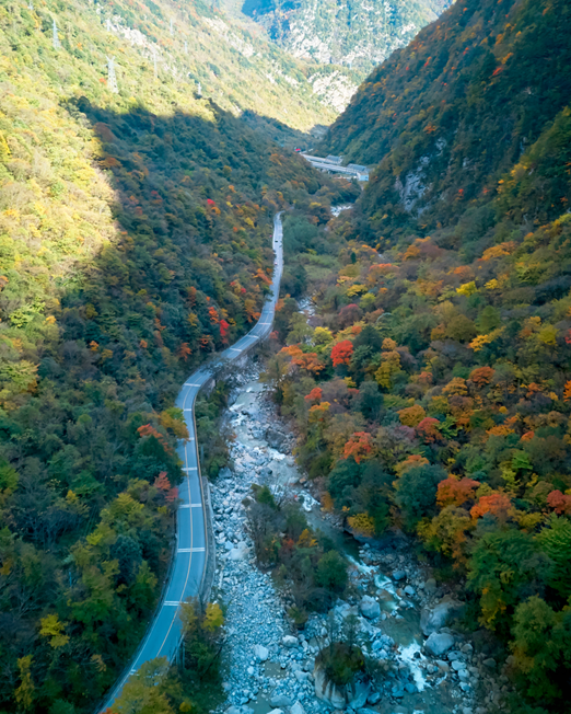 走不出这画了，我已被平武的彩林迷倒！