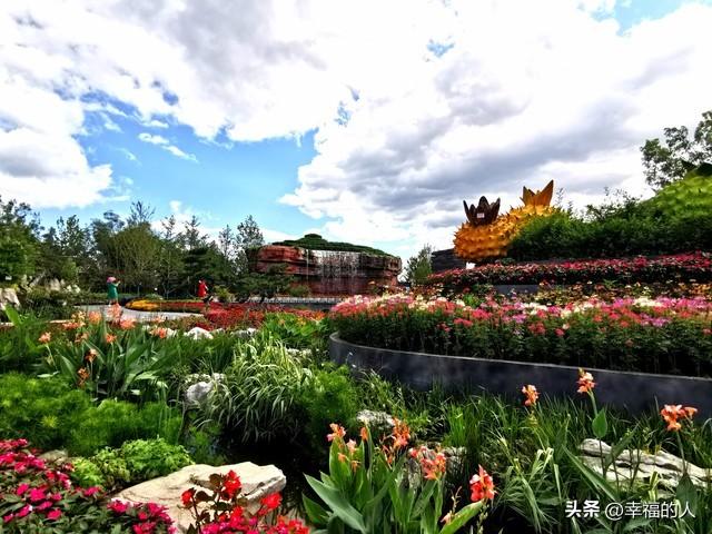 北京花展爆火！35万人挤爆CBD花海