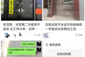 沈阳多家公司招聘要求无薪“试岗”，律师：违法，员工可索赔图片