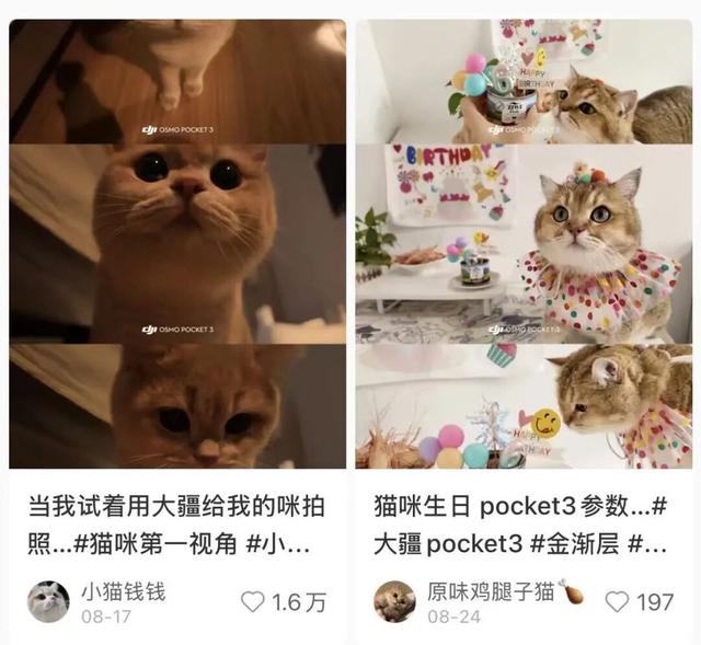 每个人都能拍出的“电影感”，被大疆卷到位了