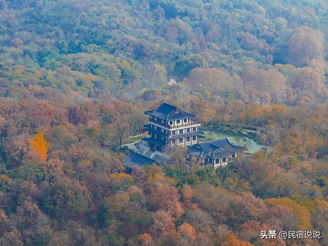 南京栖霞山突然狂圈粉！