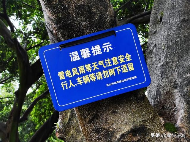 雨中漫步乐山城