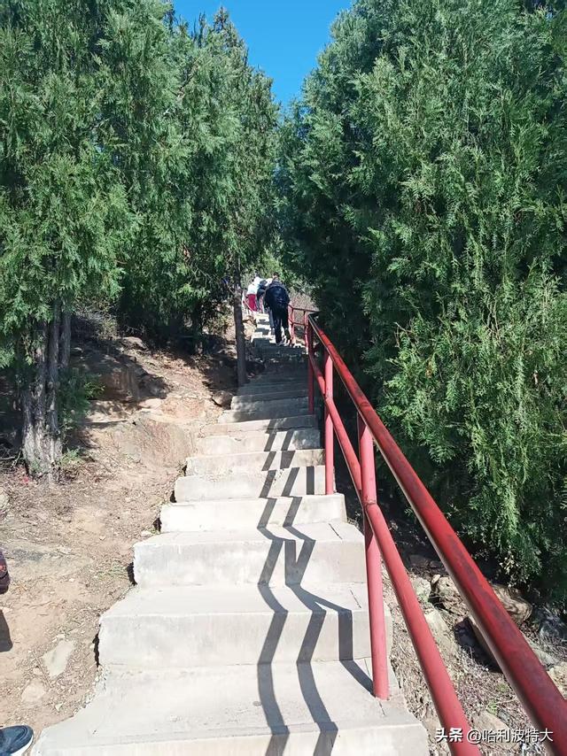 怒征西山公园，立在539.8米的顶峰