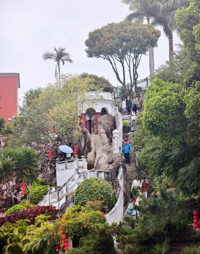 厦门这个公园火了，游人竟欣然买单，只因一园一海一岛屿太美了