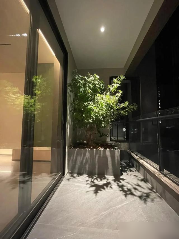 河北一太太，因在“客厅种大树”走红，真壮观，妥妥的视觉盛宴