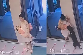 四川一幼童在妈妈怀中被大狗咬伤，邻居：我家的狗不咬人 律师：遛狗牵绳有法律依据 不是一句口号！图片