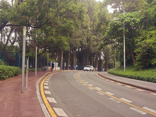 环西丽湖绿道骑行慢行随拍-动个好奇心