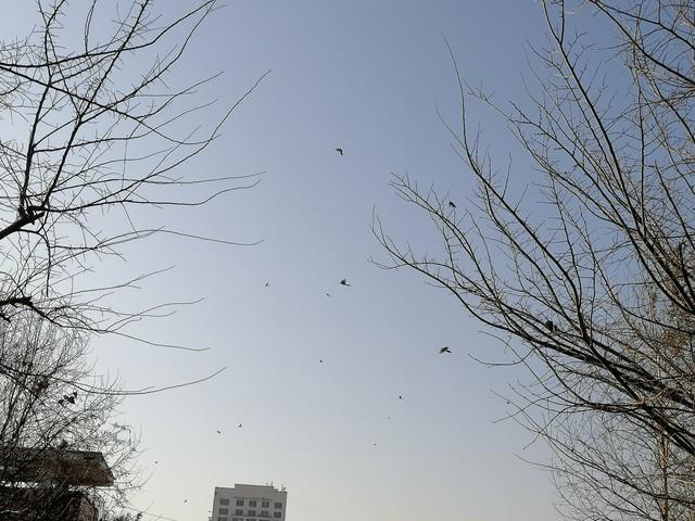 我和男闺蜜去看午夜场电影，散场后，却看见老公在影院门口