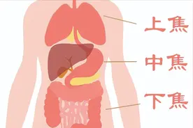 肥胖：3杯麦冬水，健脾、祛湿、养代谢图片