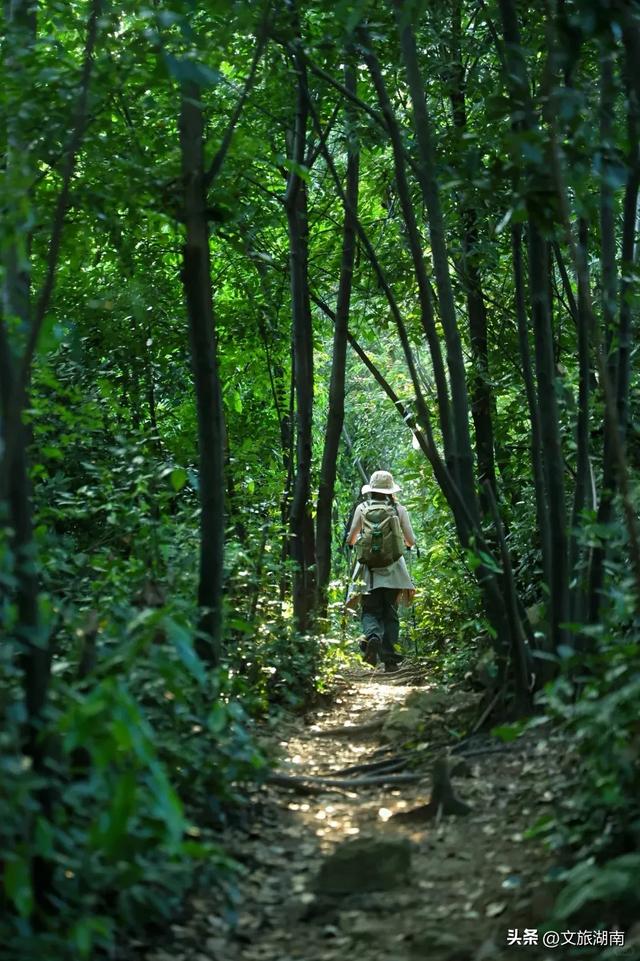 全部免费!解锁长沙10条山林徒步路线
