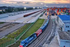 中俄贸易总额破1.7万亿，俄罗斯向中国出口了哪些种类商品？图片